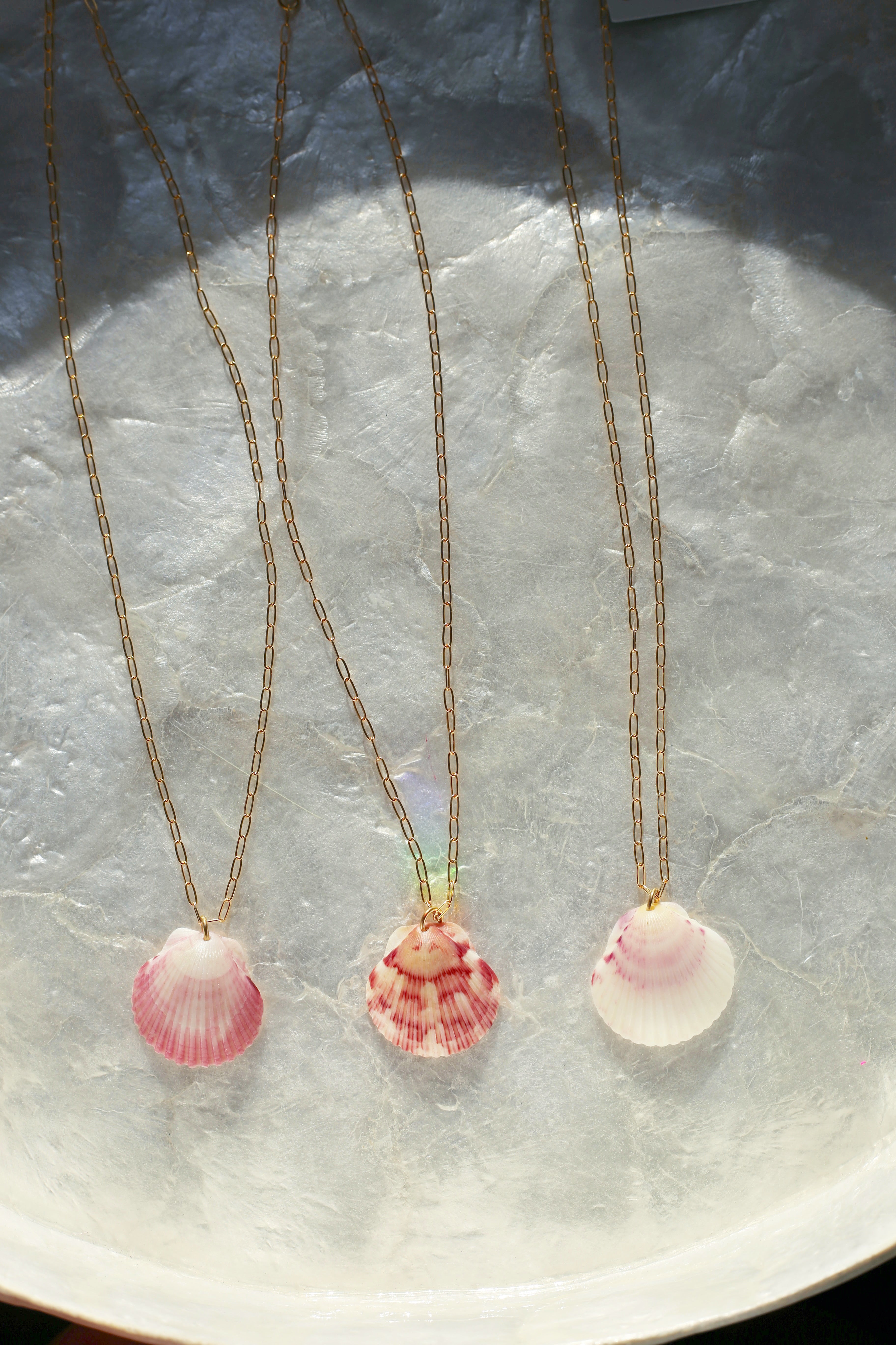 Cali Shell Necklace