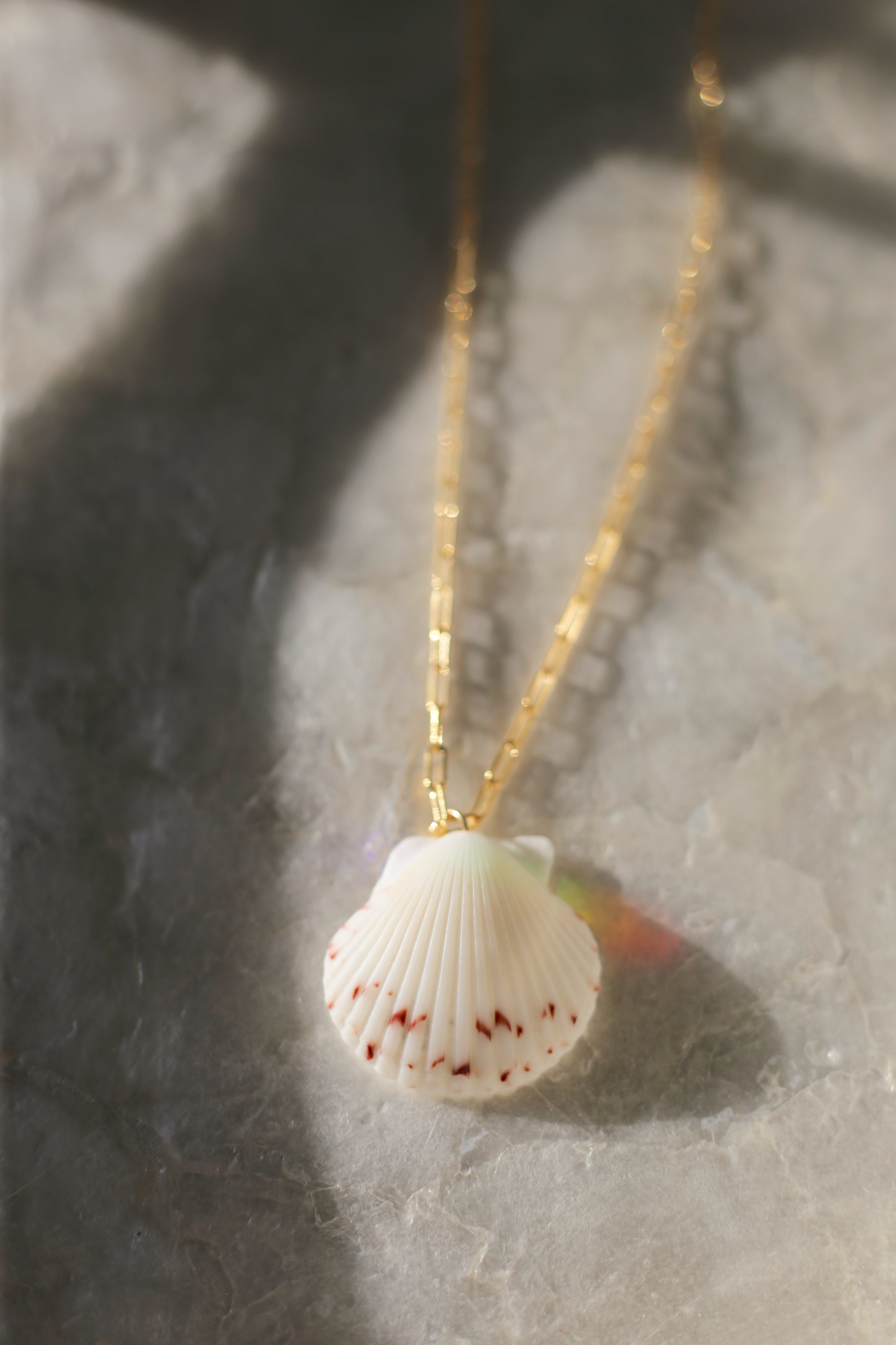 Laguna Shell Necklace no title