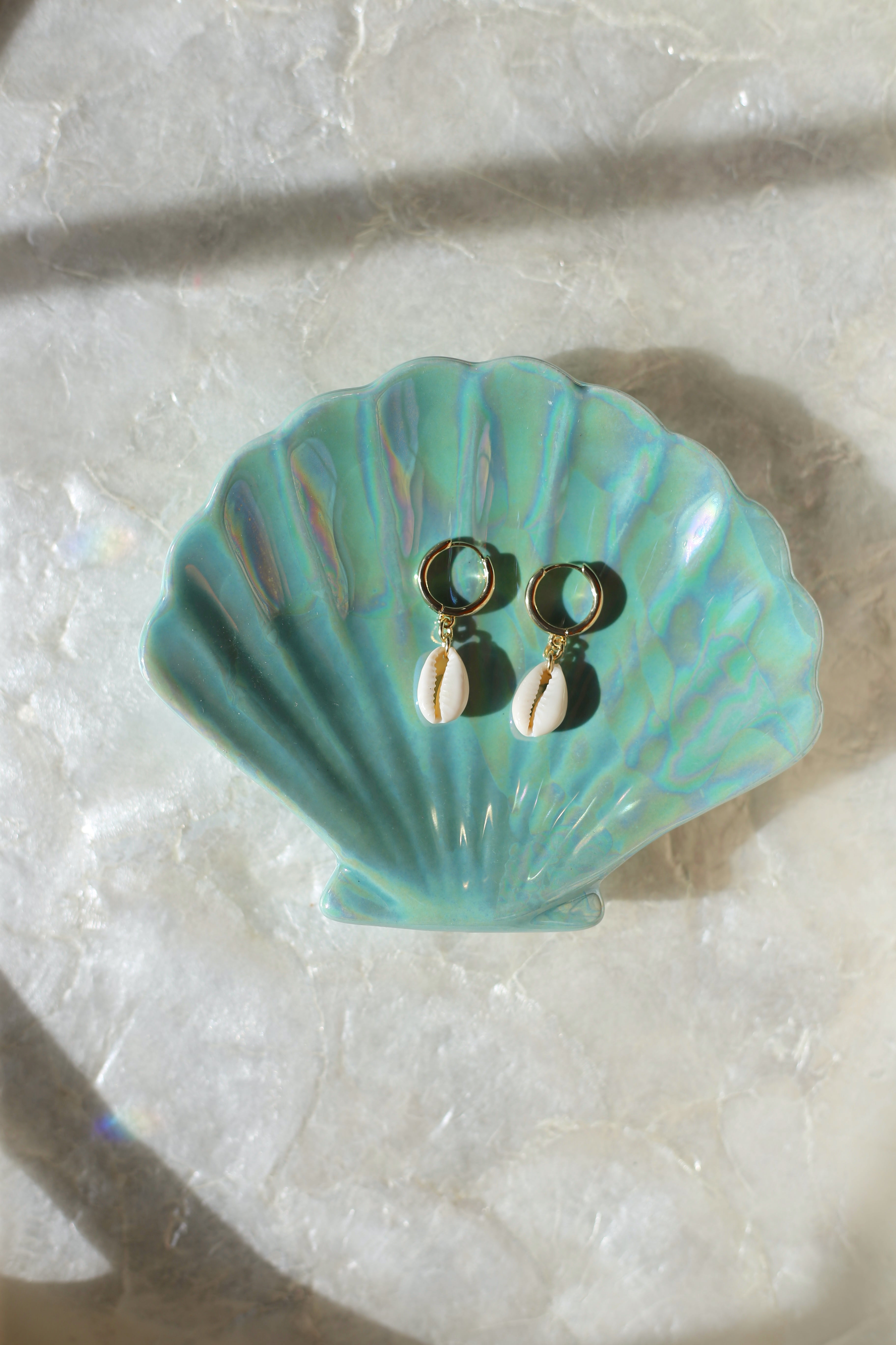 Cowrie Shell Earrings