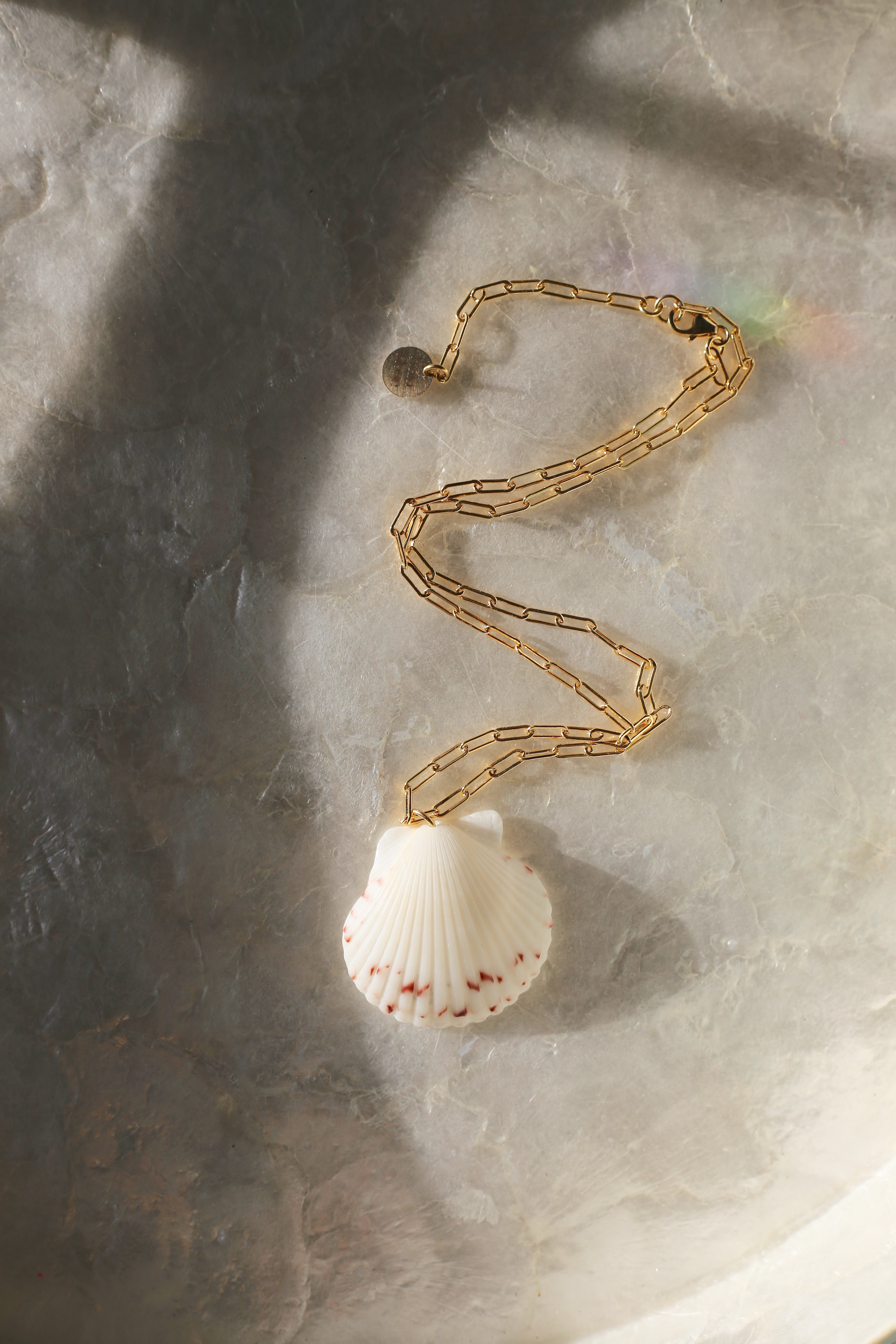 Laguna Shell Necklace no title