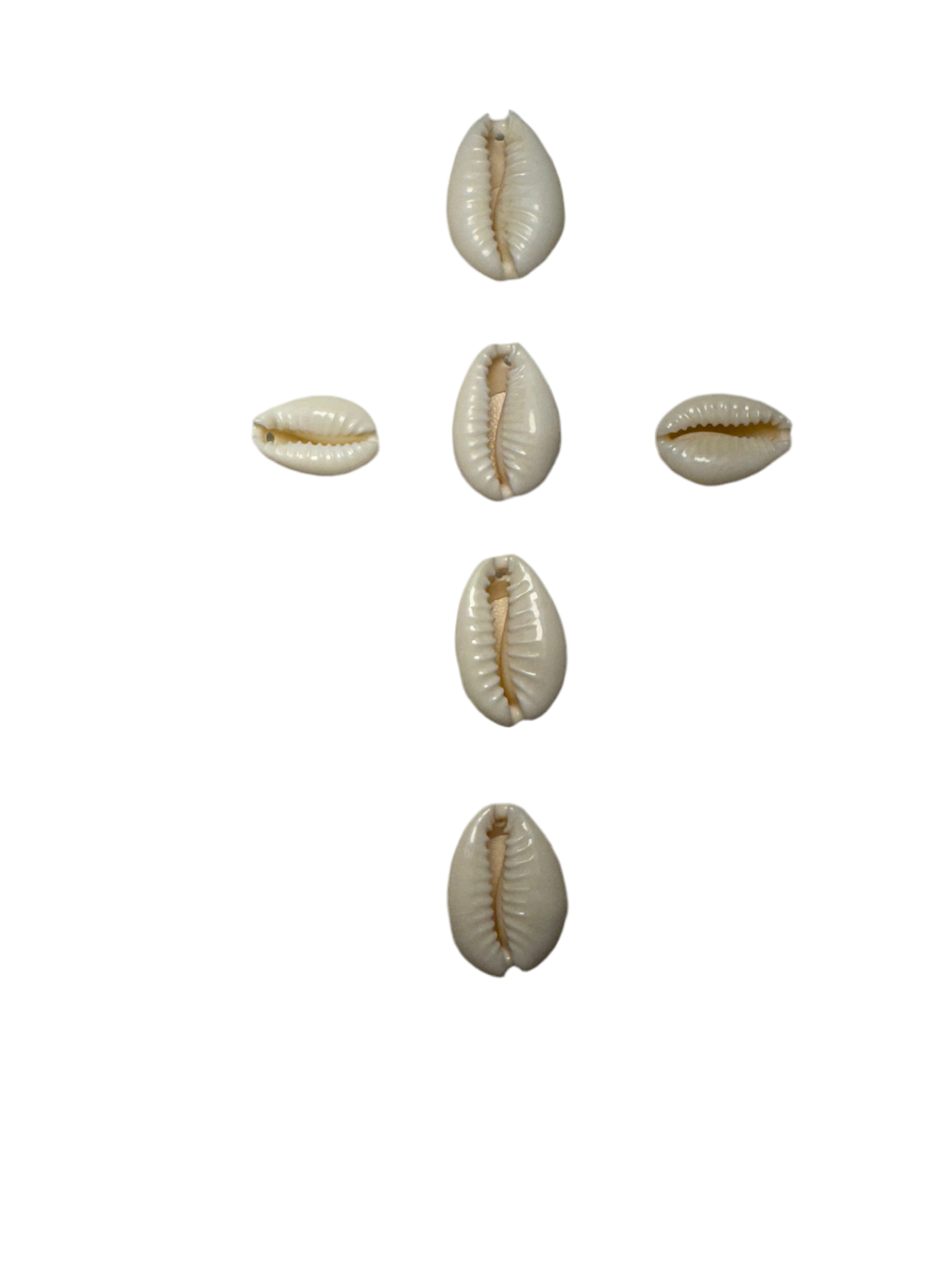 Cowrie Seashell Charm