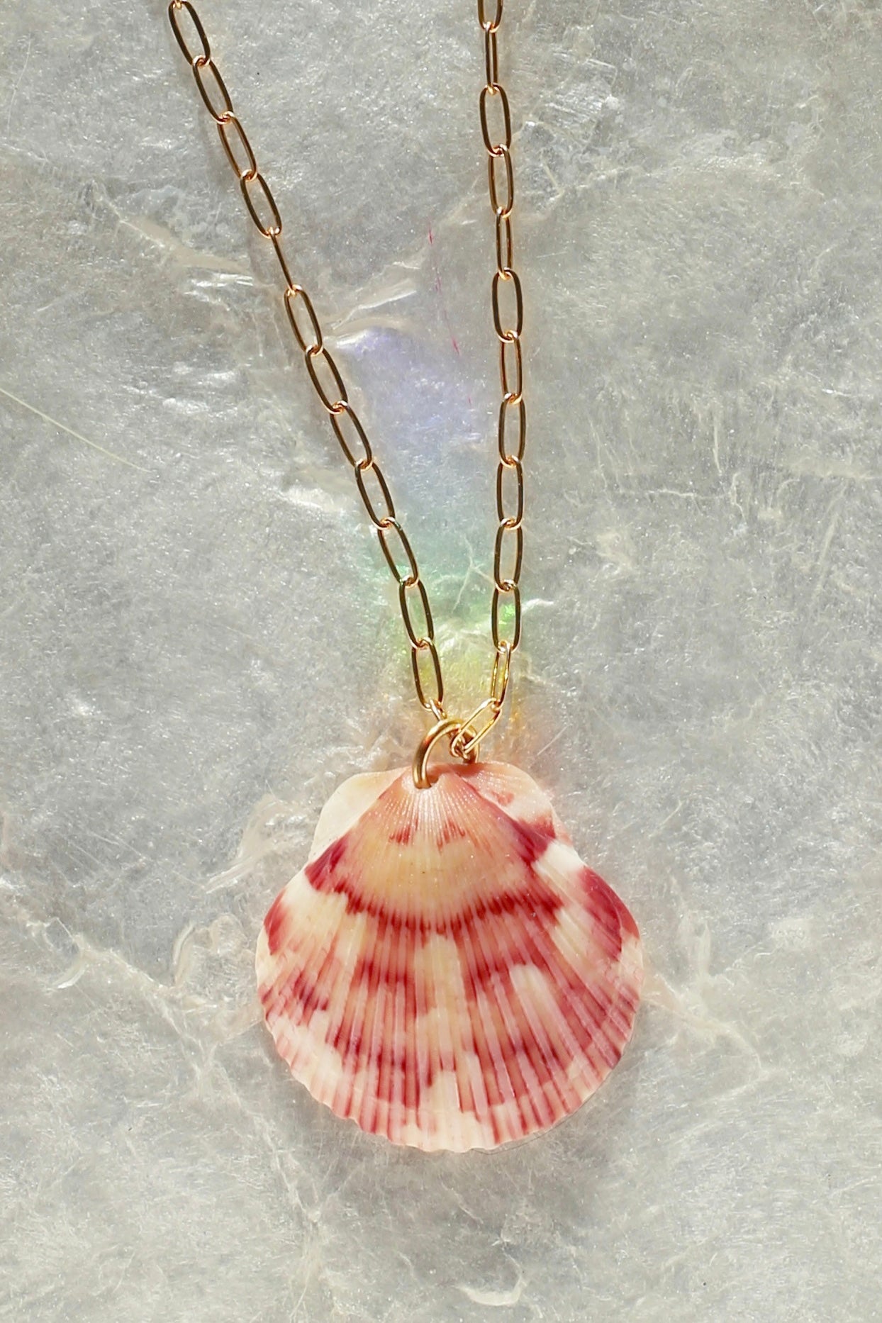 Cali Shell Necklace