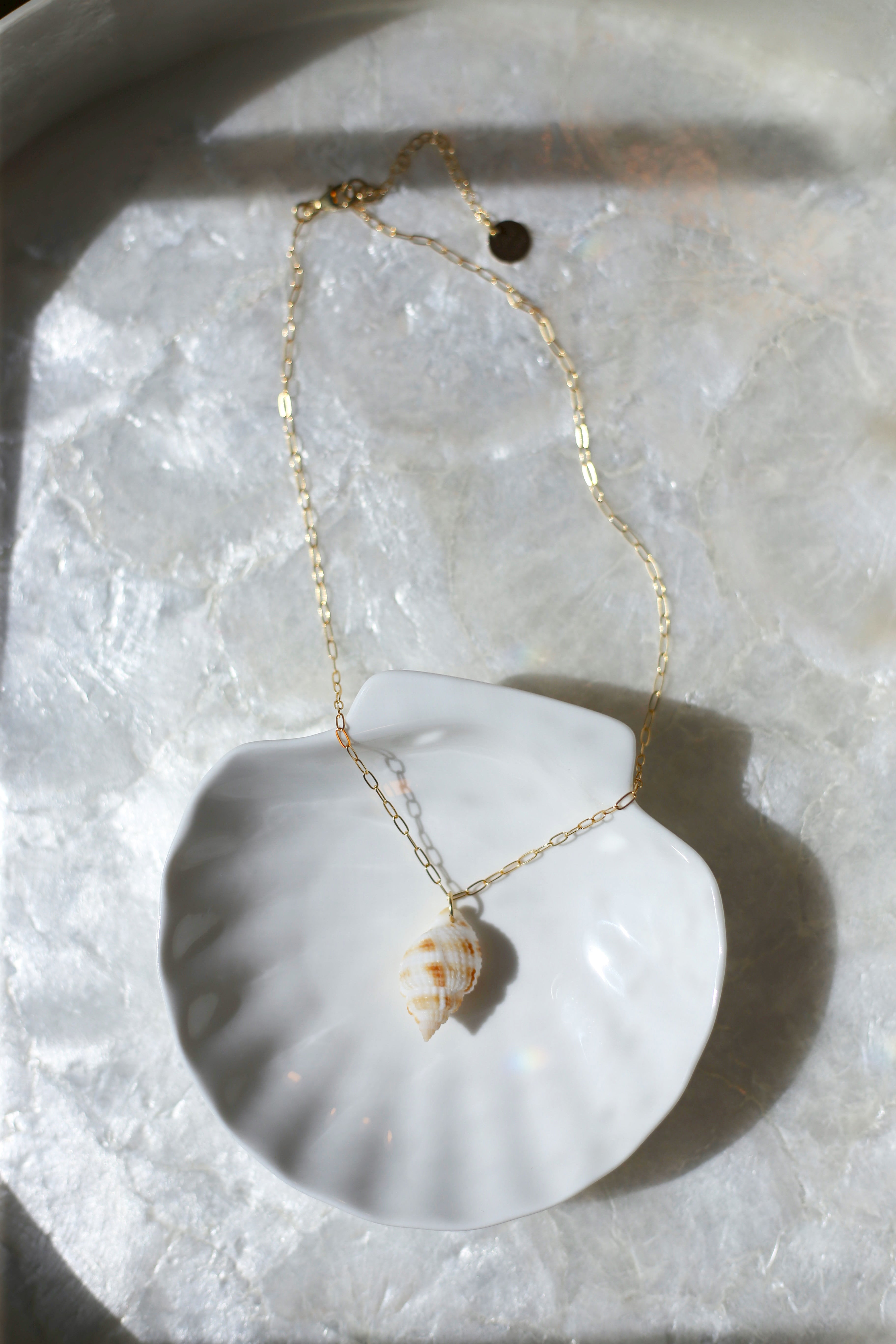 Nutmeg Shell Necklace