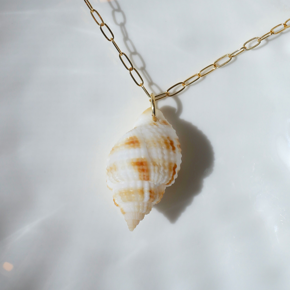 283AD318-35FA-4D37-A6B5-