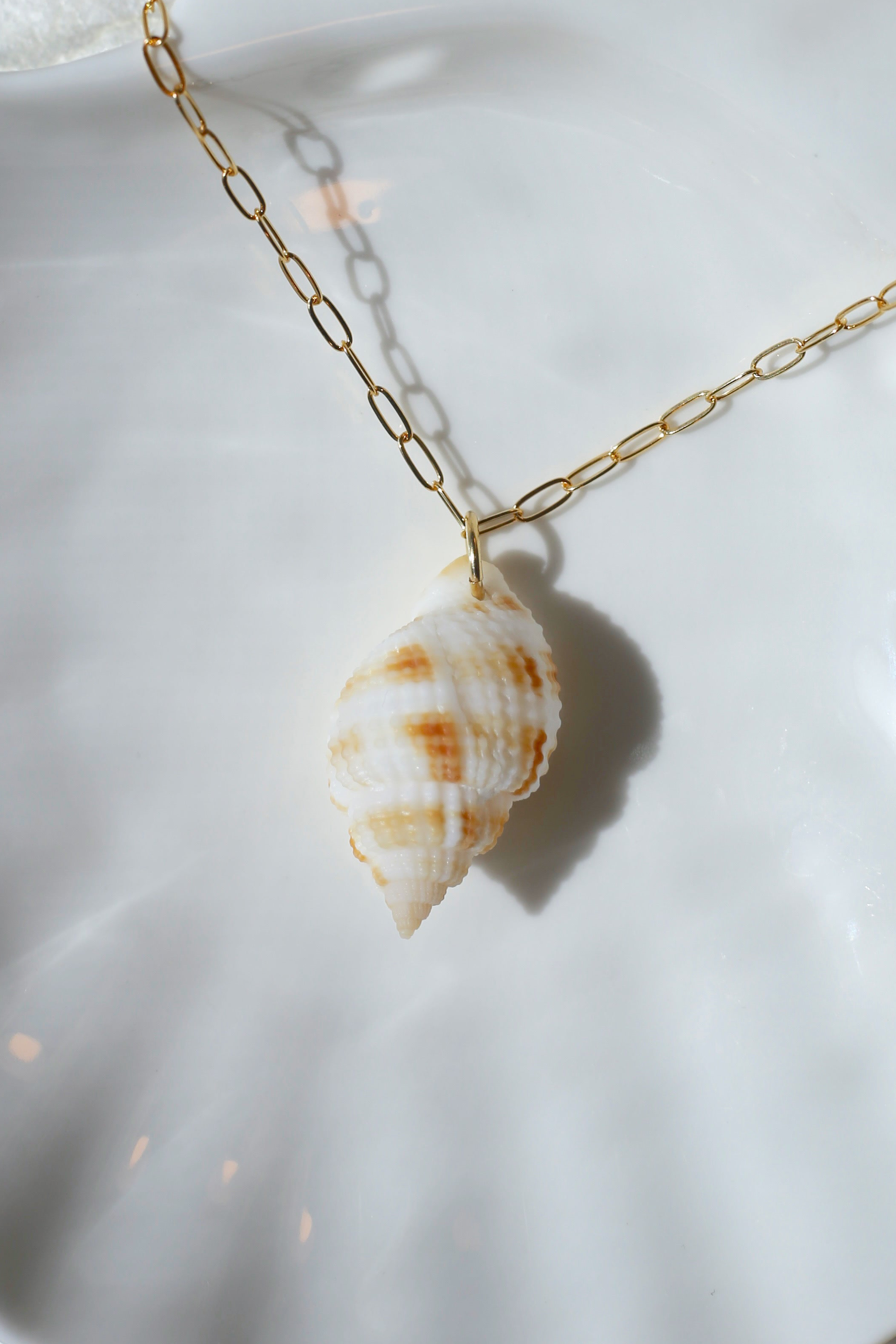 Nutmeg Shell Necklace