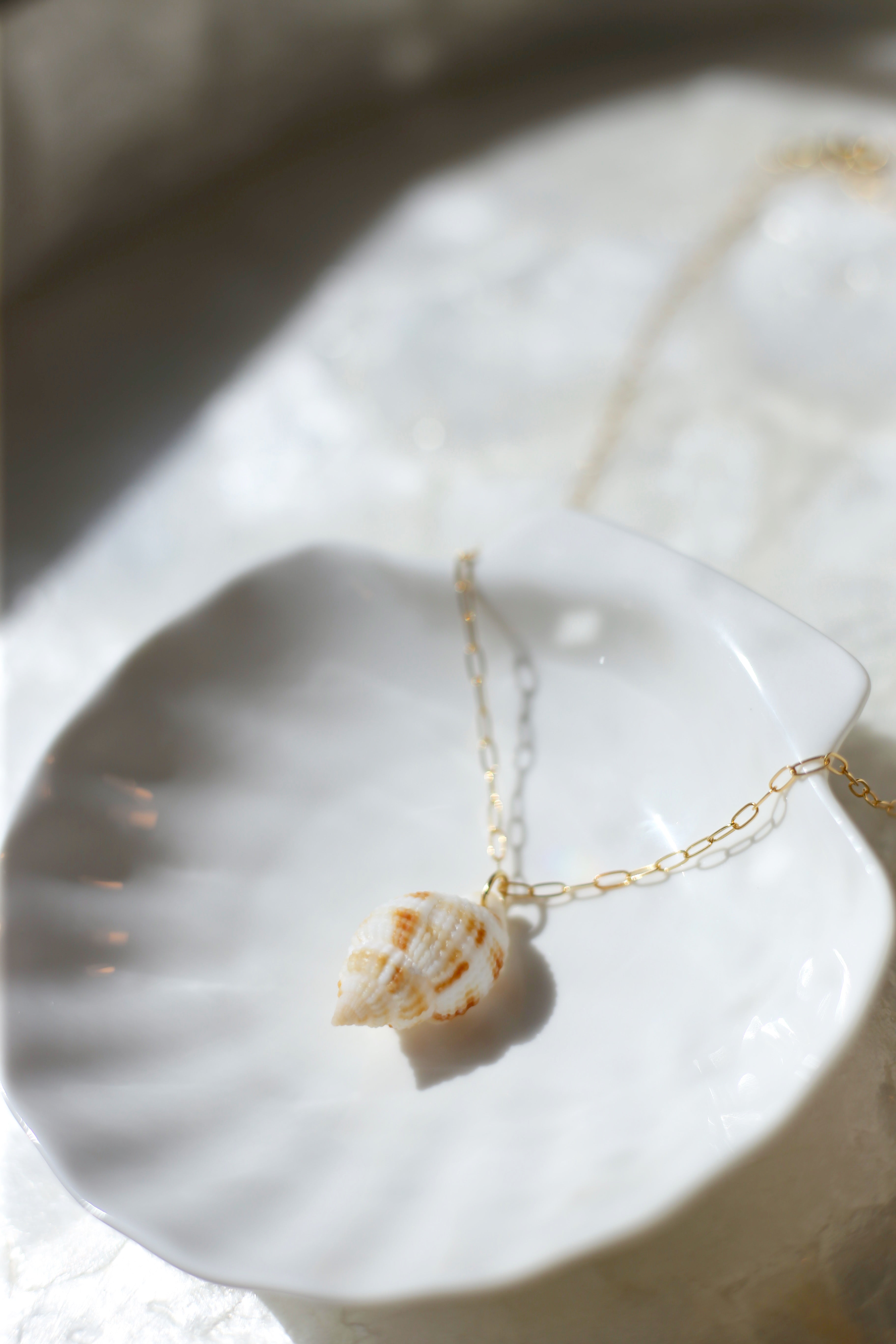 Nutmeg Shell Necklace