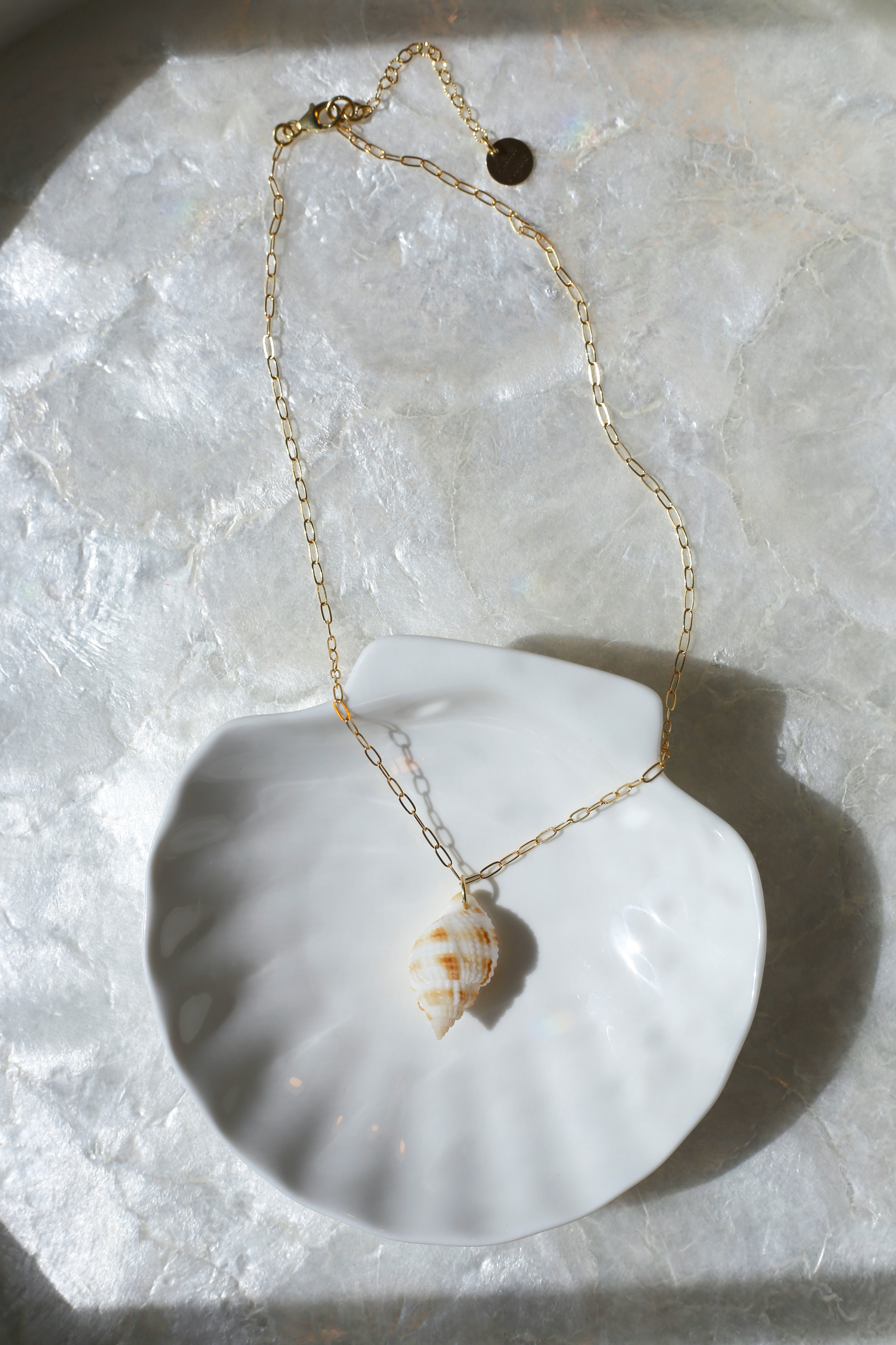 Nutmeg Shell Necklace
