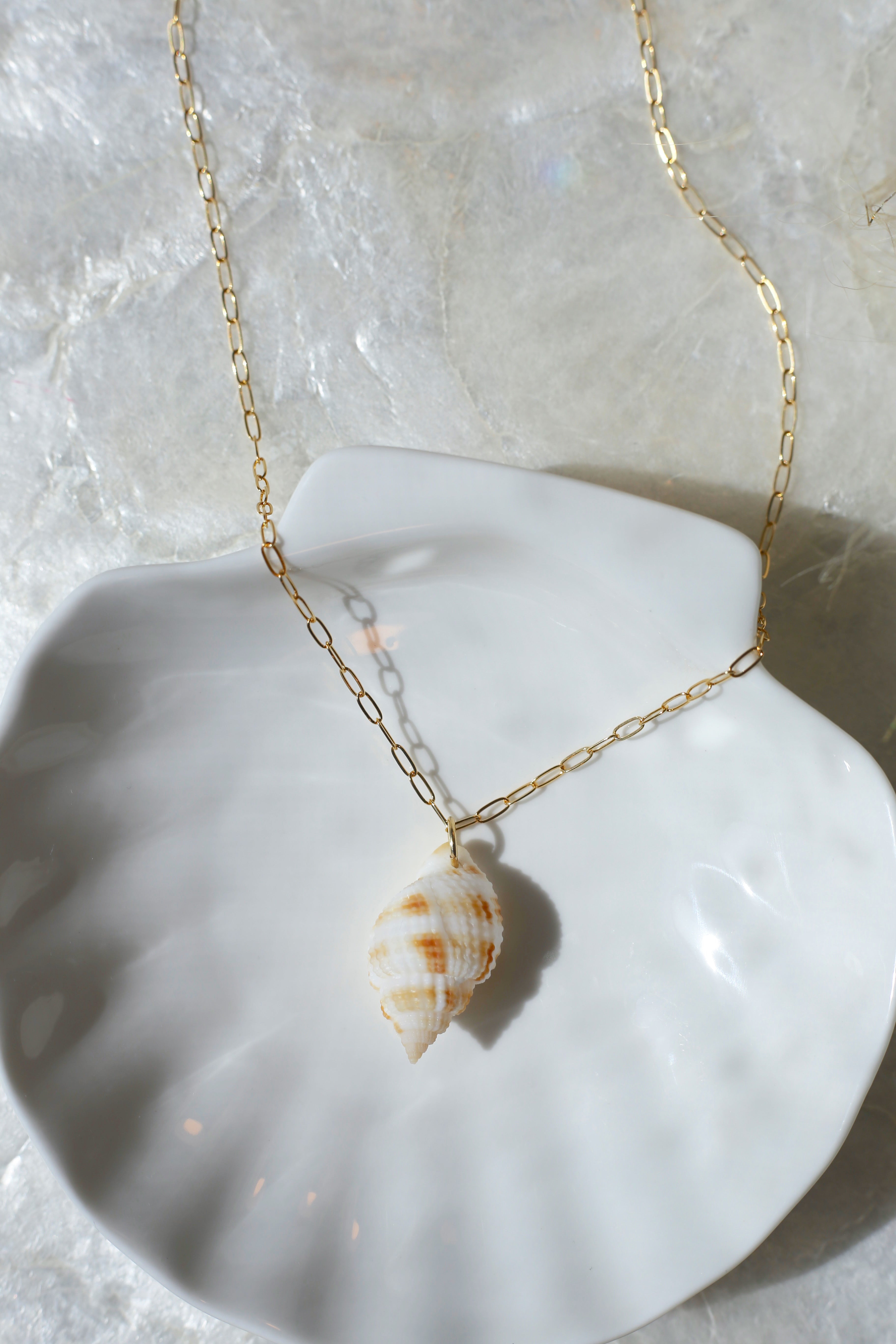 Nutmeg Shell Necklace