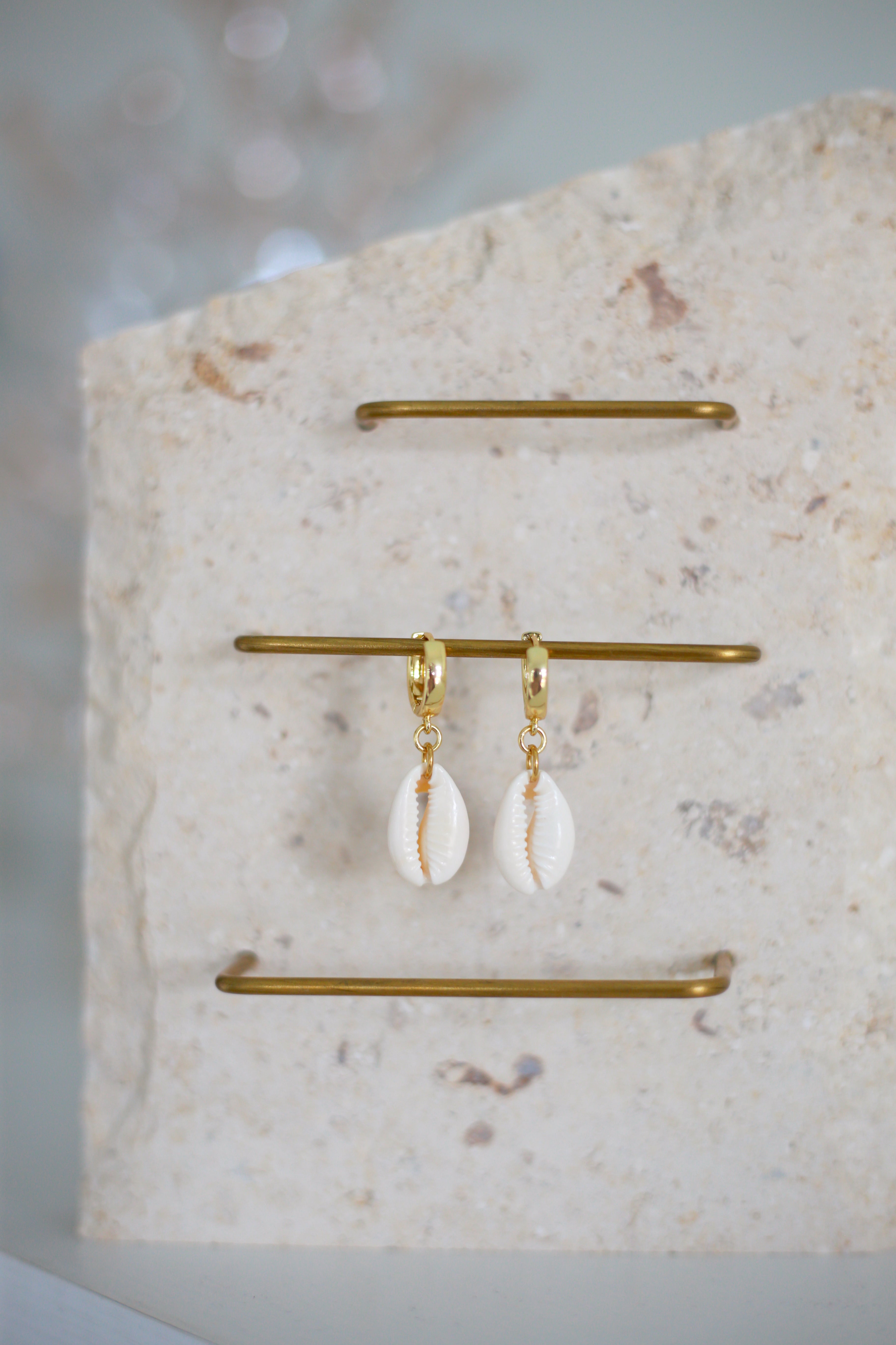 Cowrie Shell Earrings
