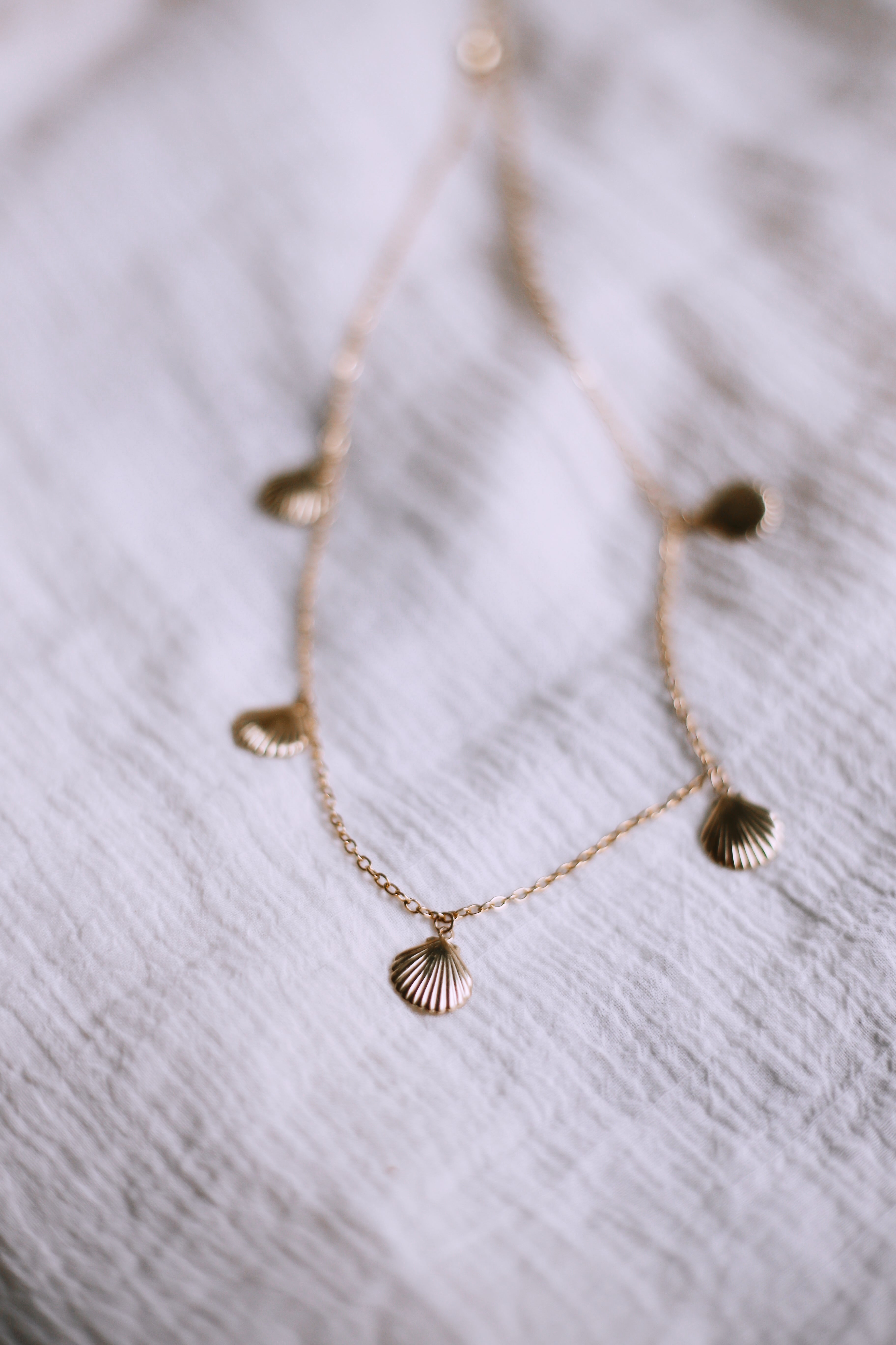 Isla 5 Gold Scallop Seashell Charm on Gold Chain Necklace Bokeh