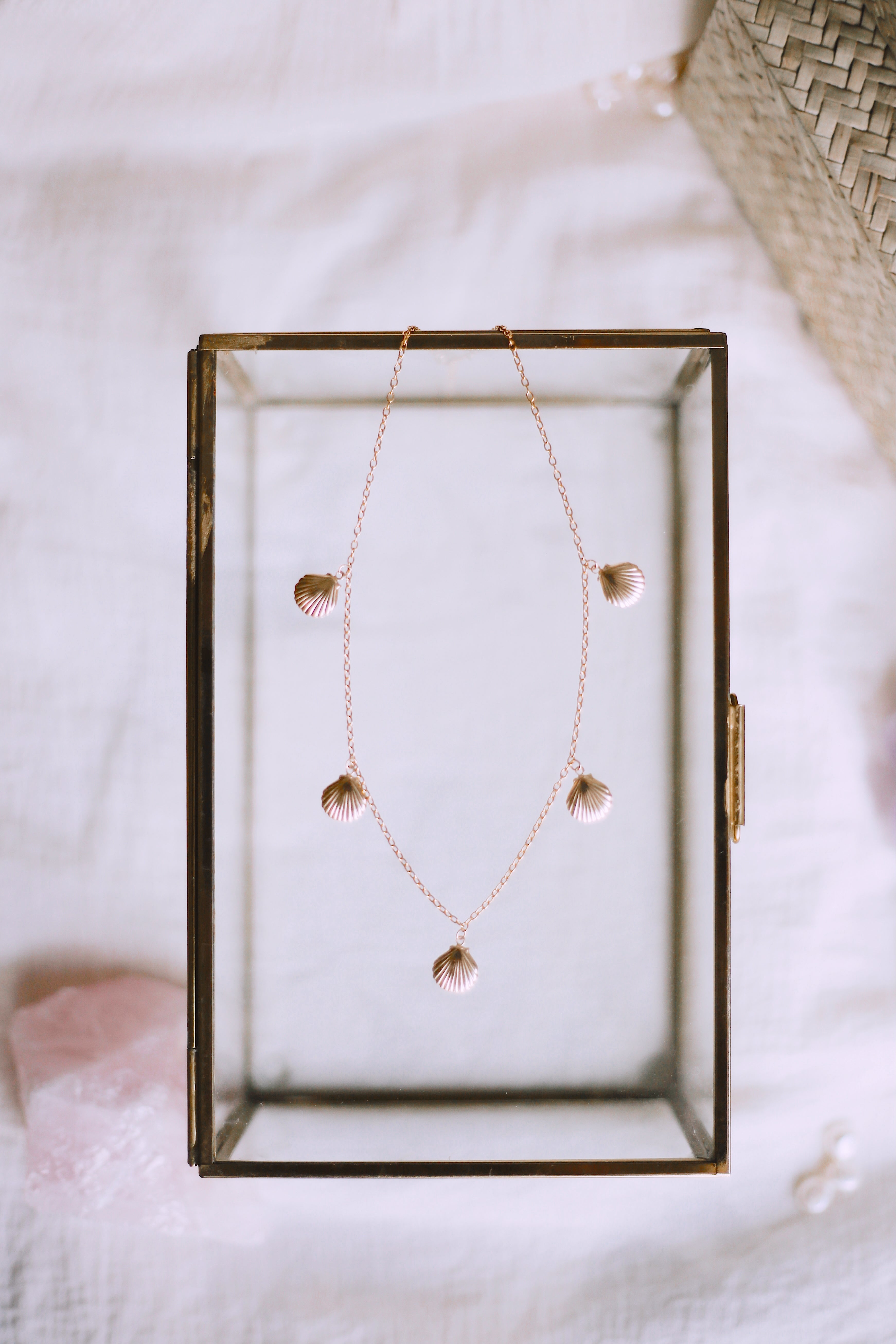 Isla 5 Gold Scallop Seashell Charm on Gold Chain Necklace on Jewelry Box
