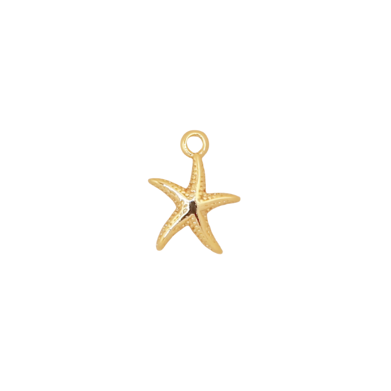 Dainty Starfish Charm